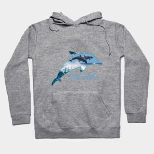 Dolphin Day Hoodie